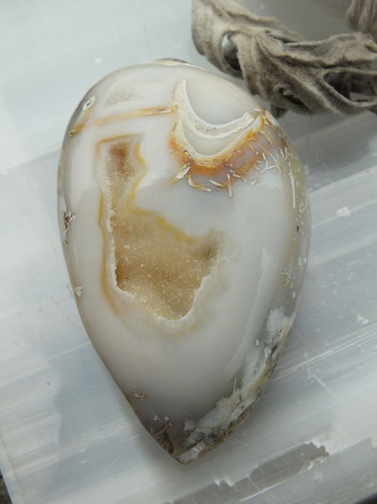 Agatized shell
