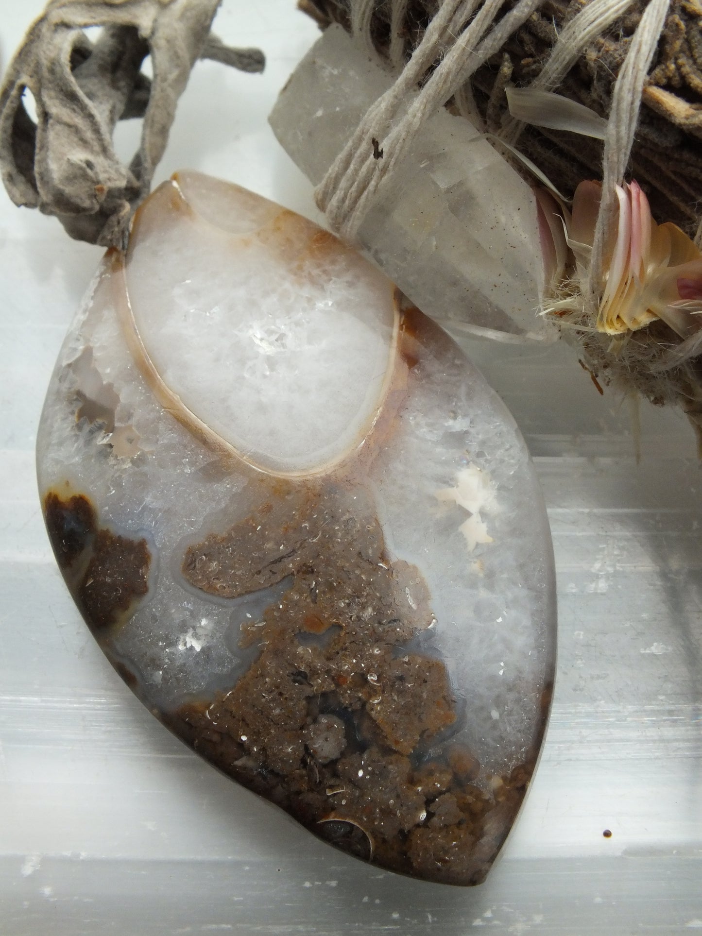 Agatized Shell