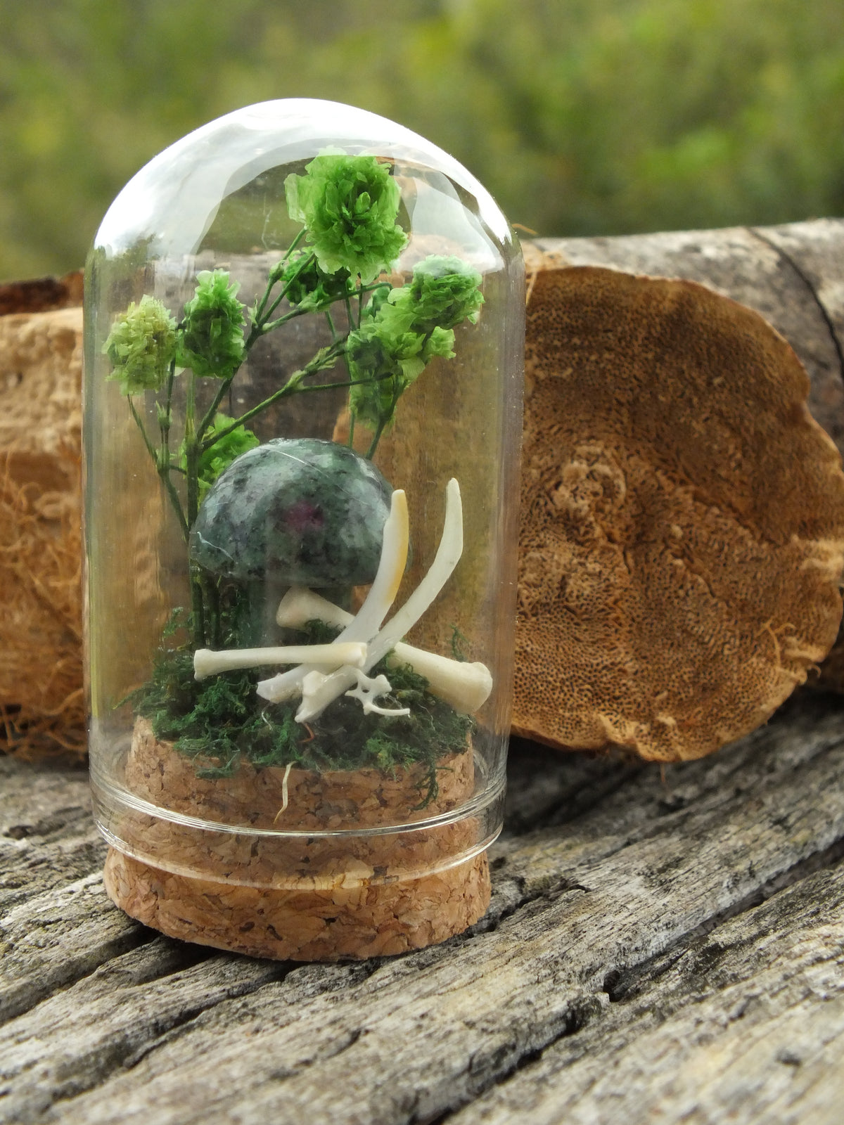 Rat Bone & Ruby Zoisite Mushroom Mini Dome