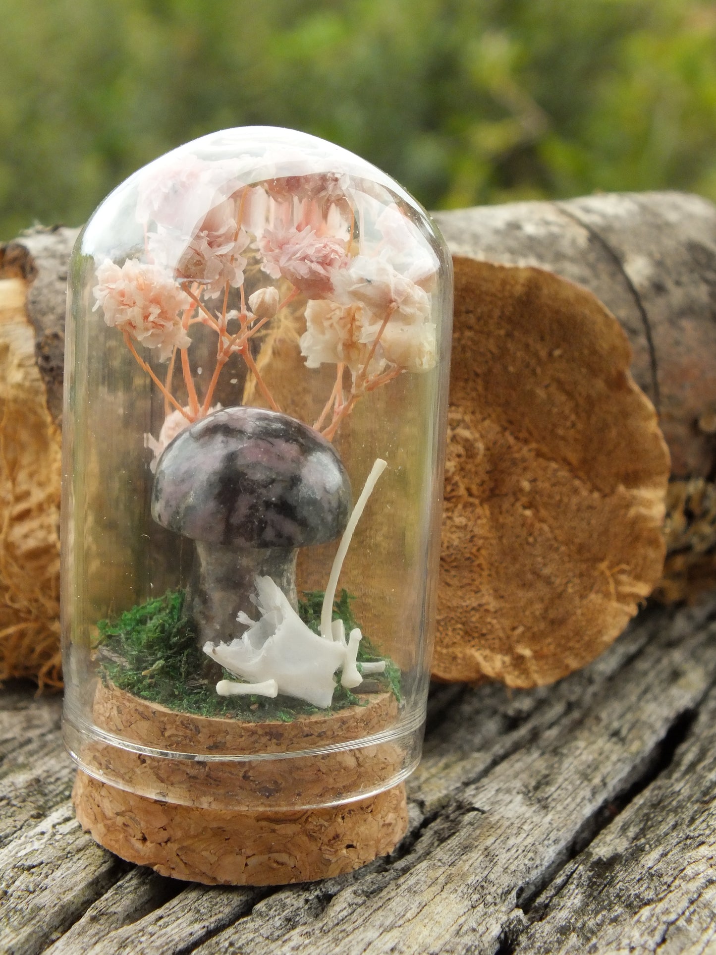 Rat Bone & Rhodonite Mushroom Mini Dome