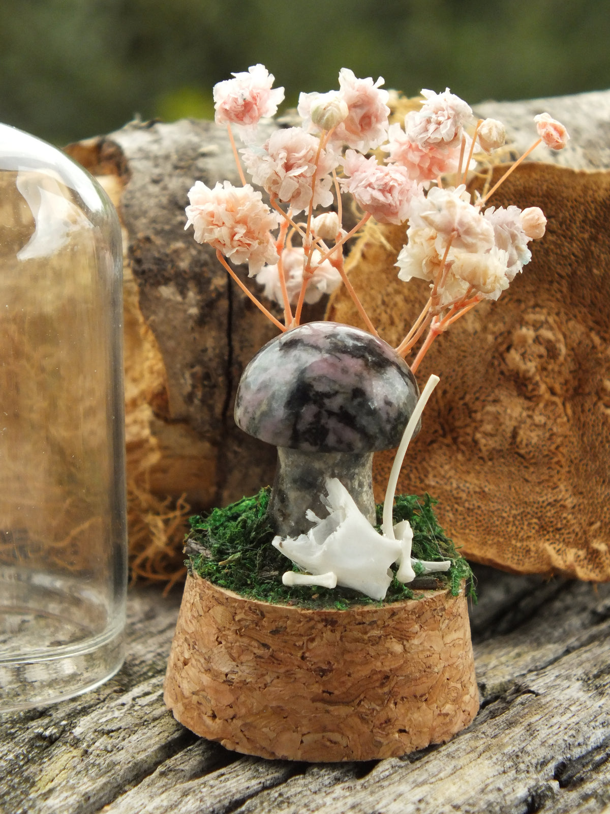 Rat Bone & Rhodonite Mushroom Mini Dome