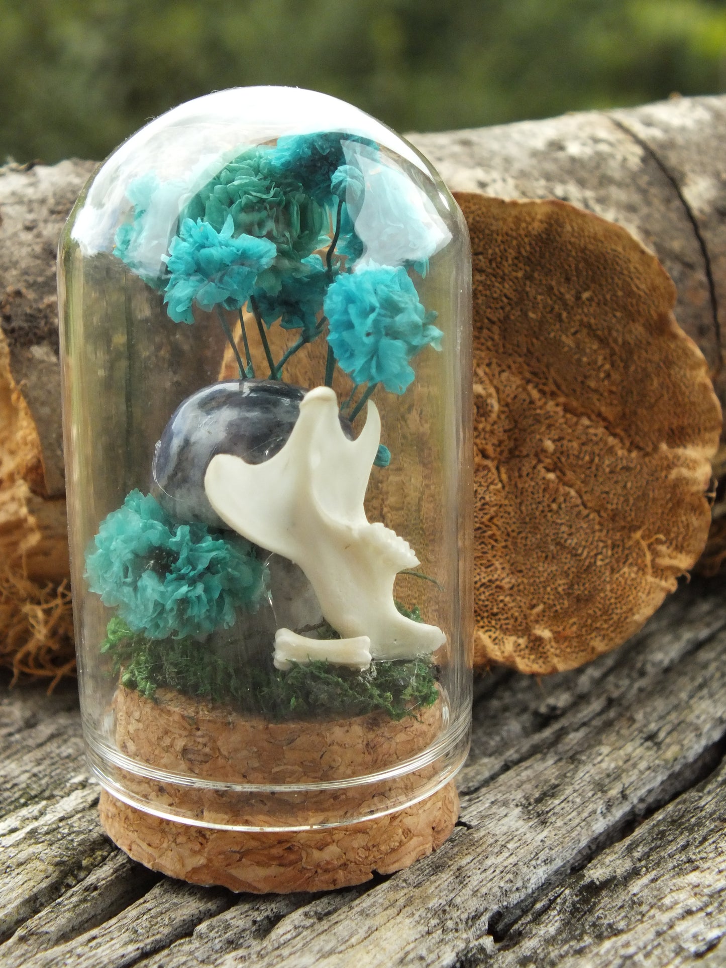 Rat Bone & Sodalite Mushroom Mini Dome