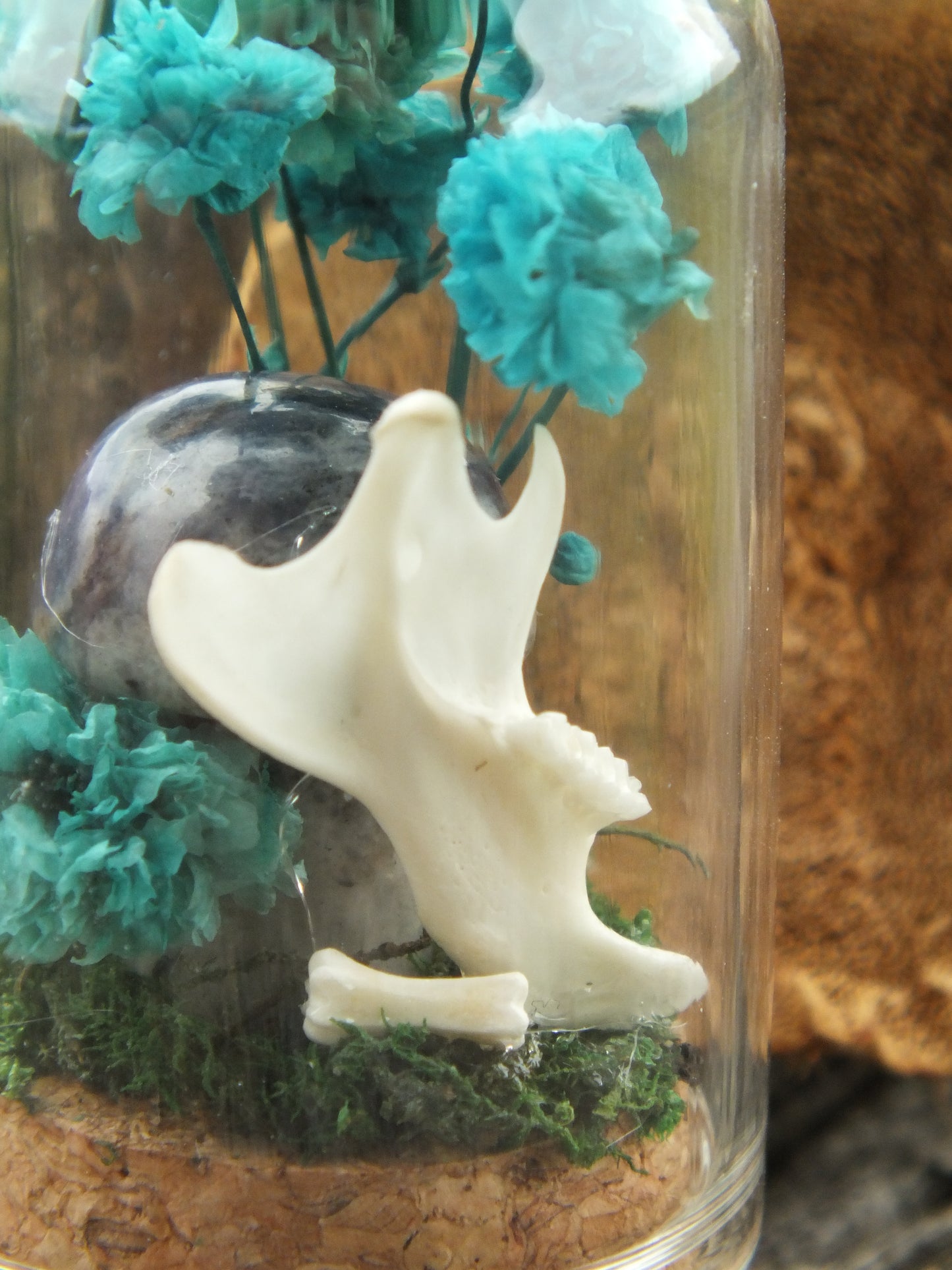 Rat Bone & Sodalite Mushroom Mini Dome