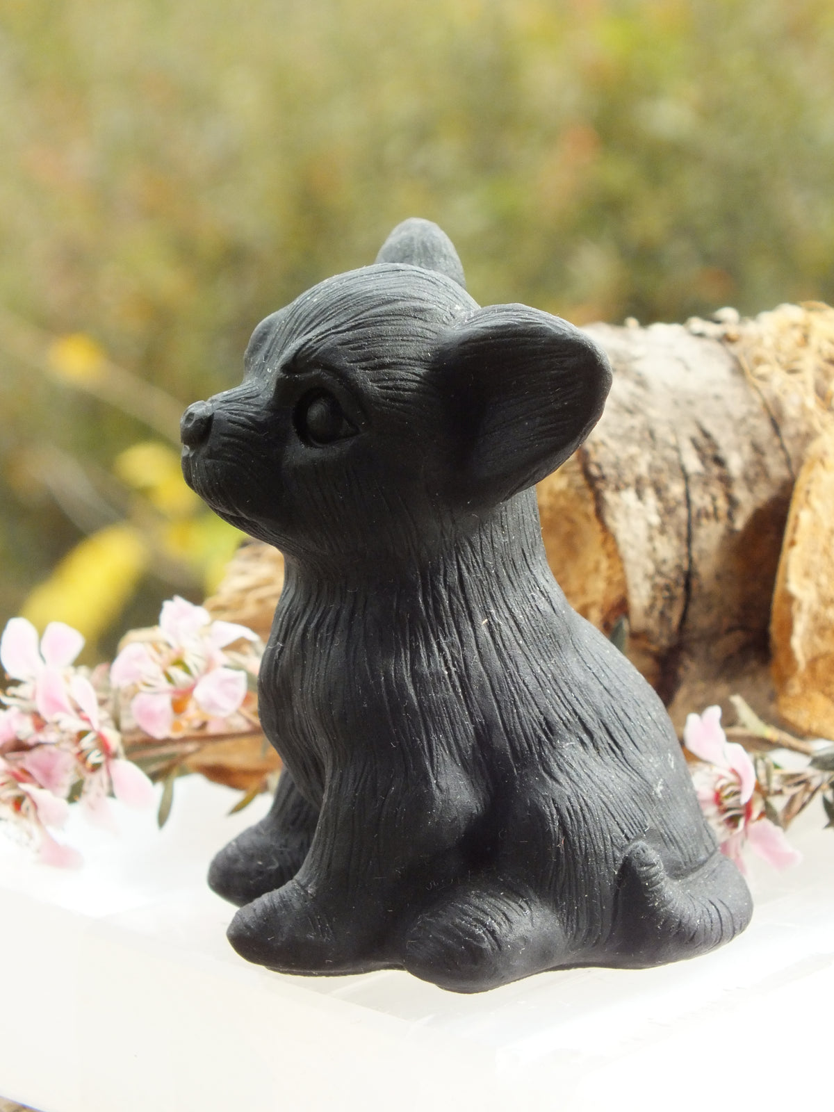 Obsidian Chihuahua Carving