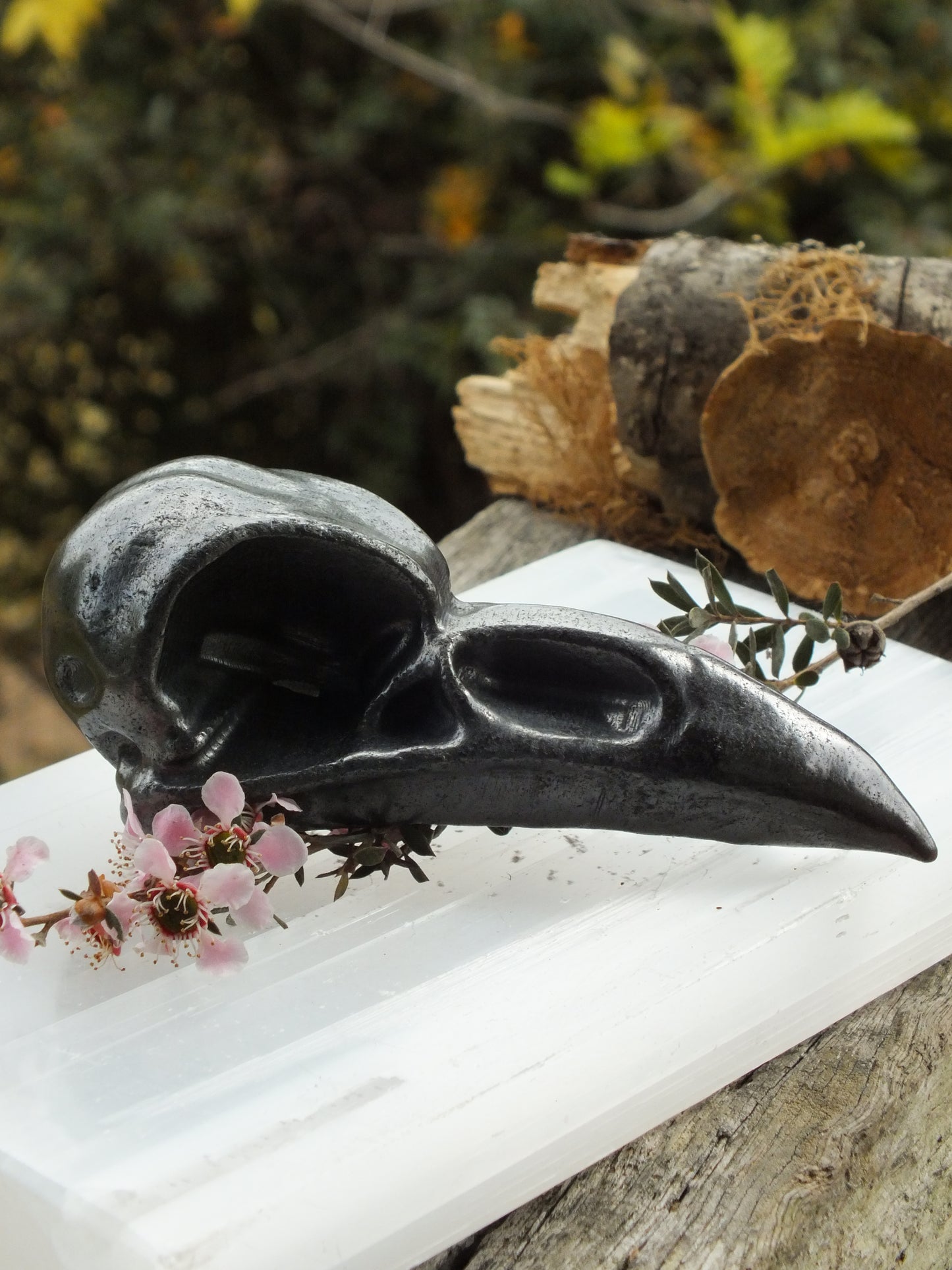 Shungite Raven Skull