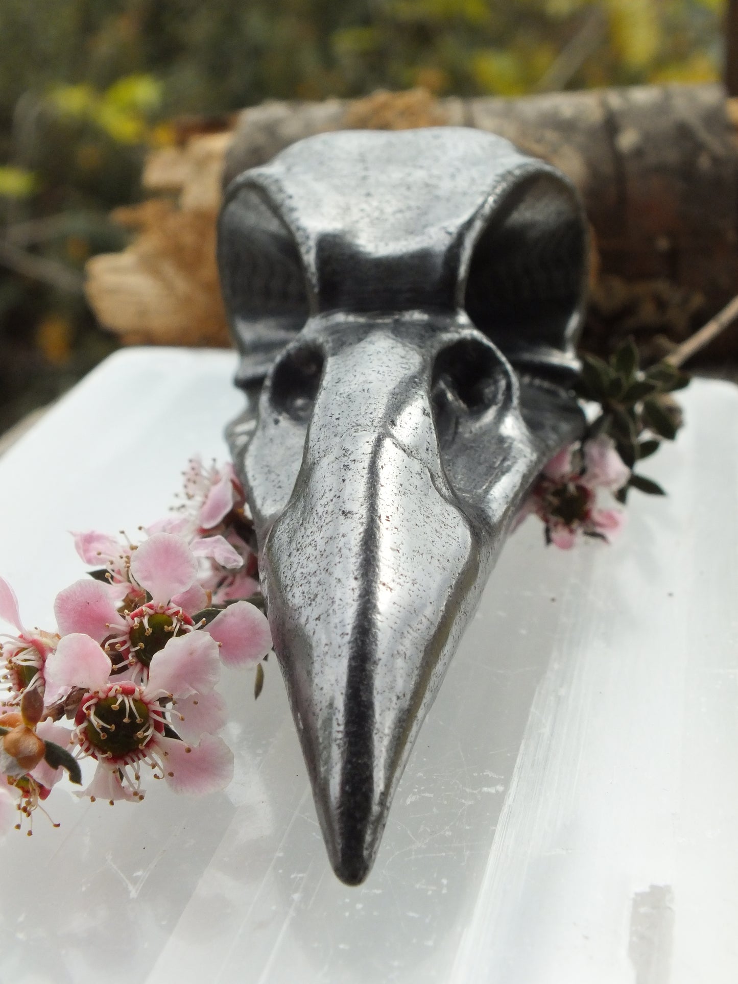 Shungite Raven Skull