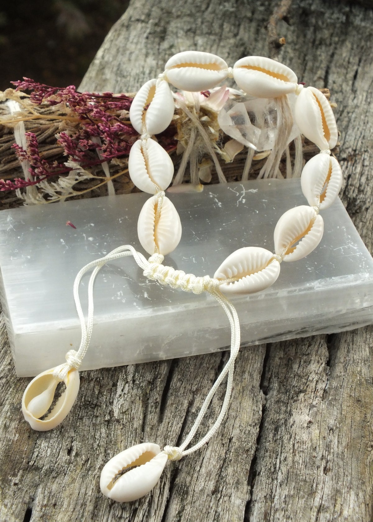 Cowrie Shell Bracelet - Choice Of Three Colours