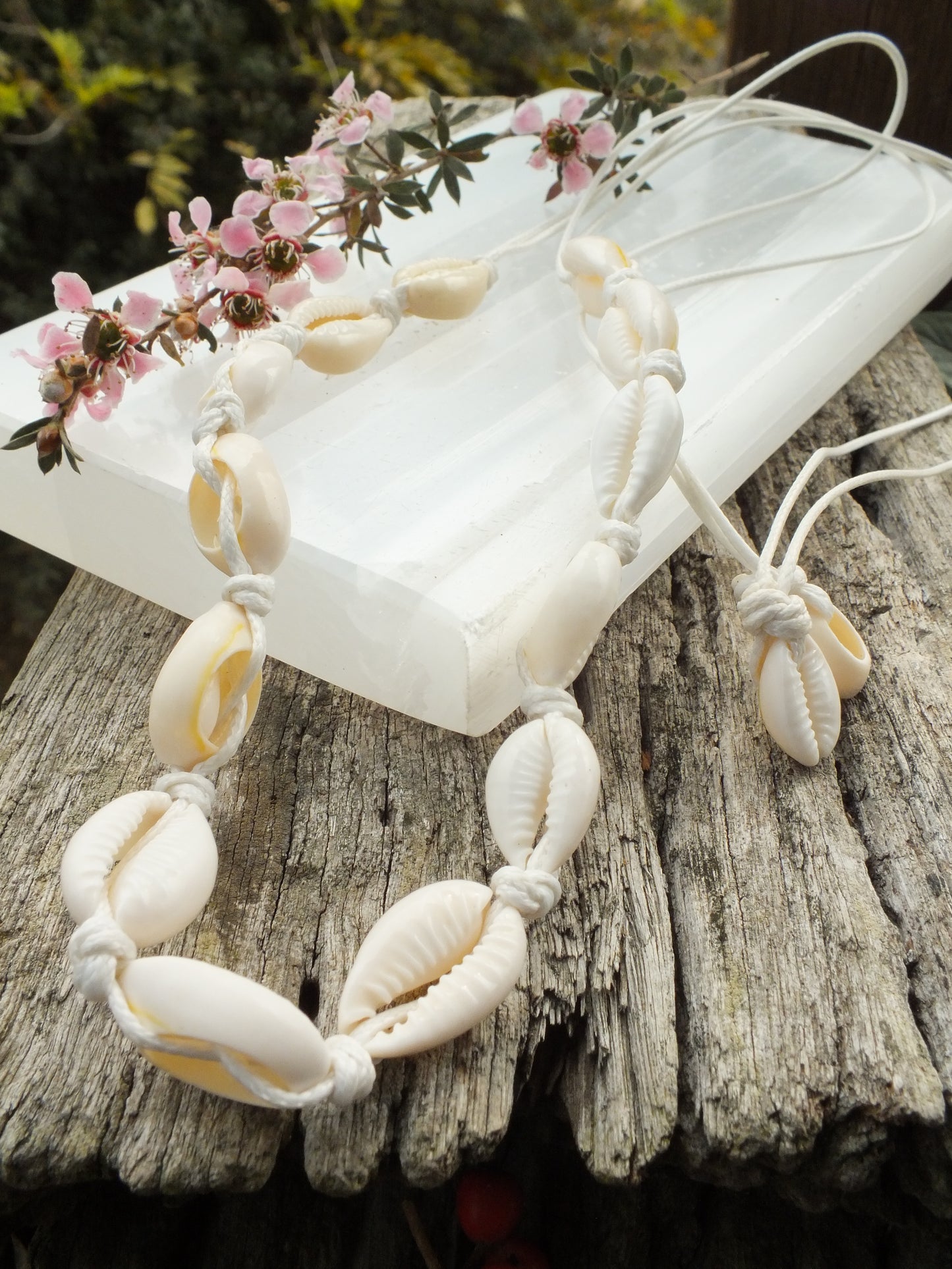 Cowrie Shell Necklace