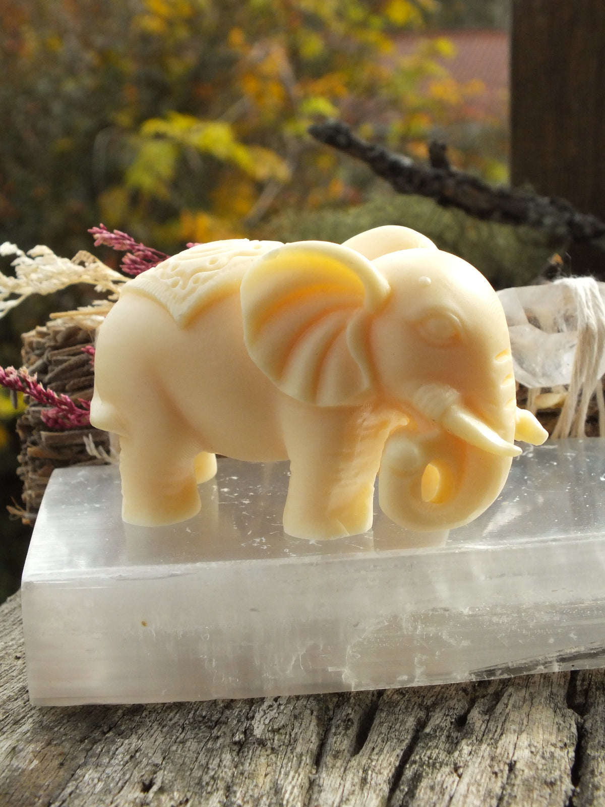 Ivory Nut Elephant