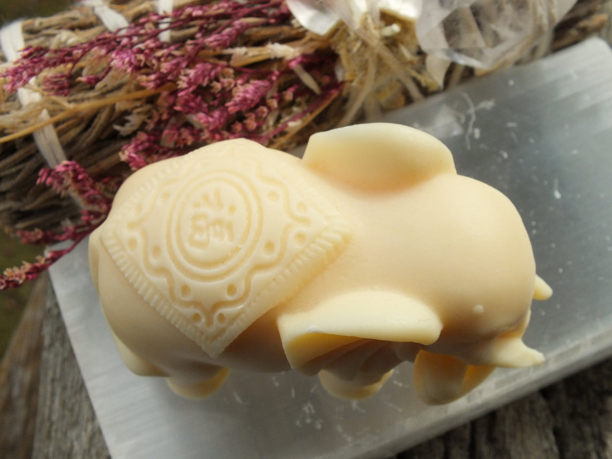 Ivory Nut Elephant