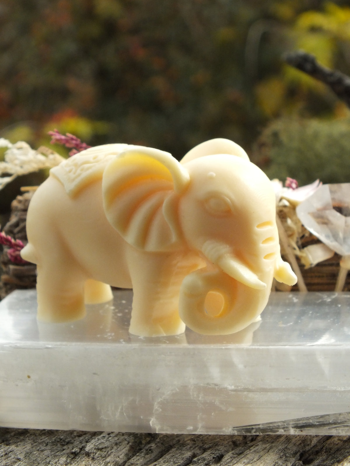 Ivory Nut Elephant