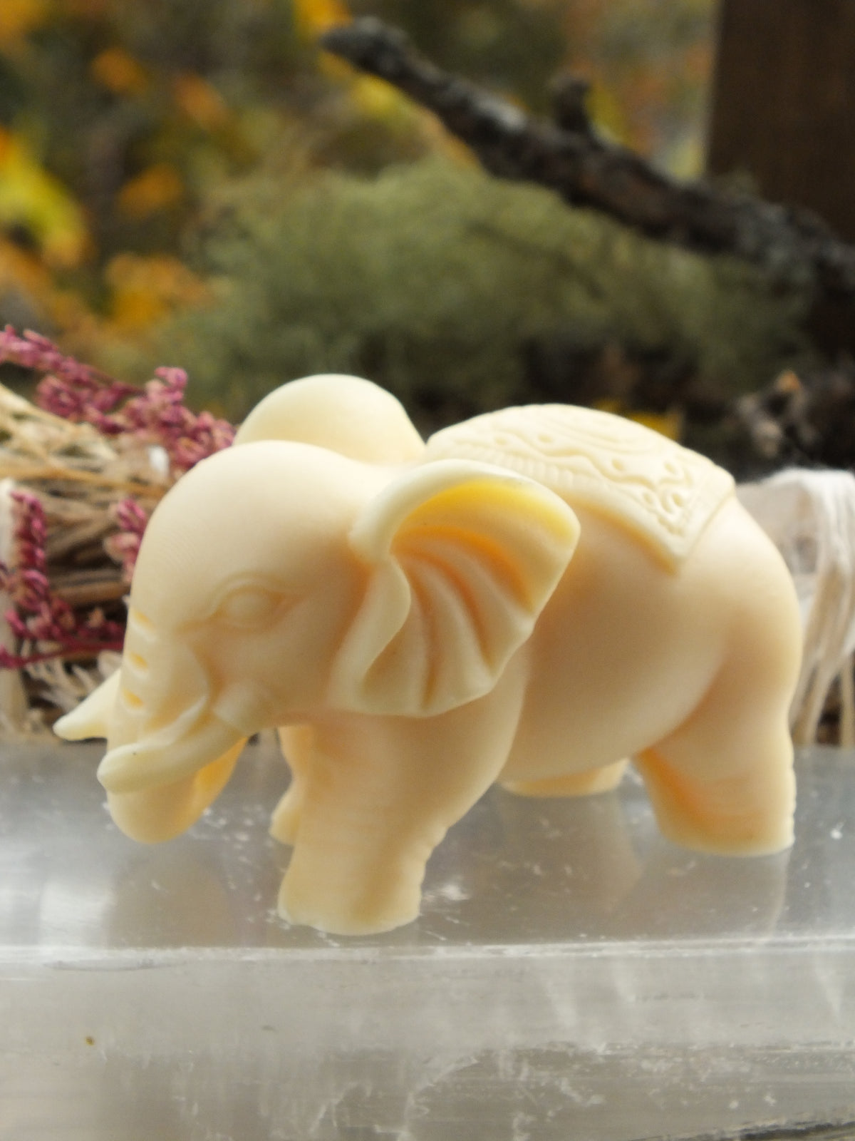 Ivory Nut Elephant