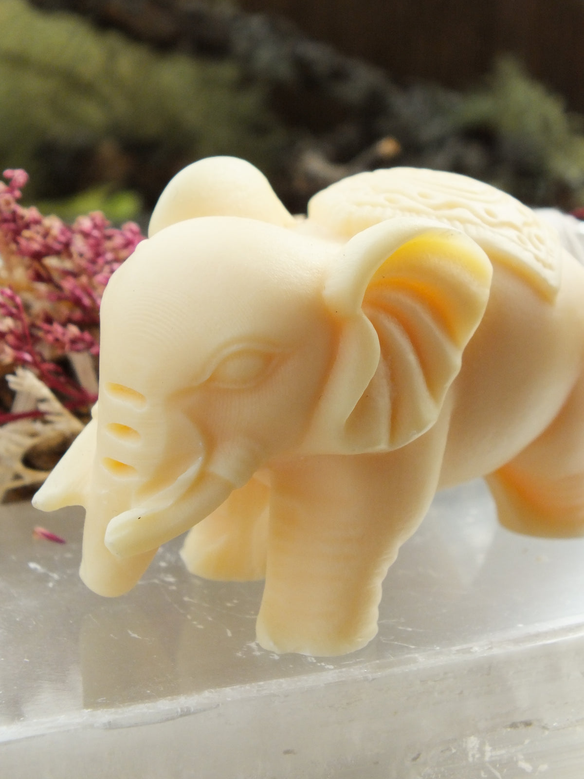 Ivory Nut Elephant