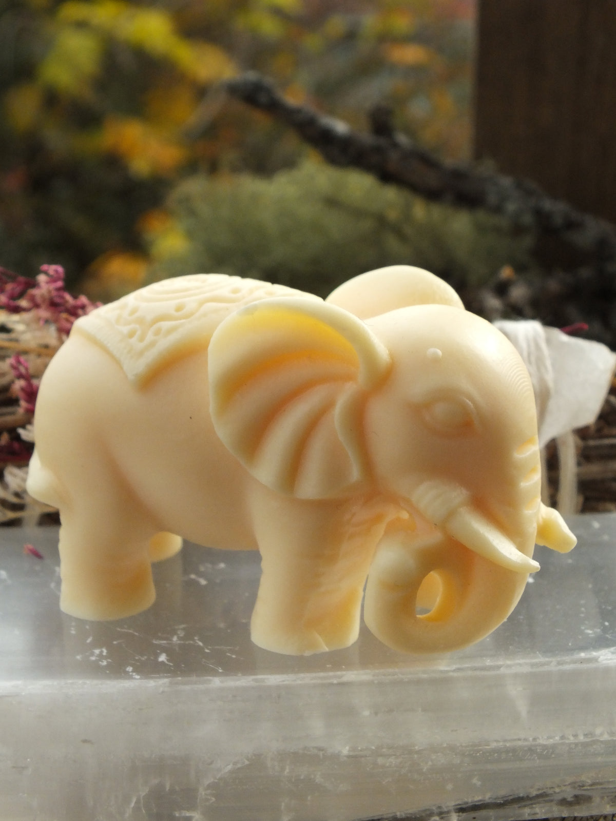 Ivory Nut Elephant