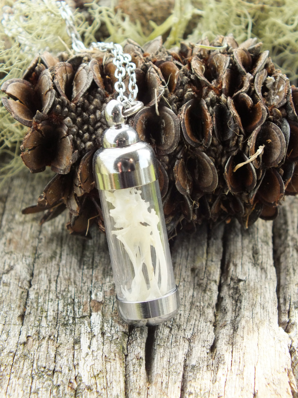 "The Bone Collector" - House Sparrow Bone Necklace