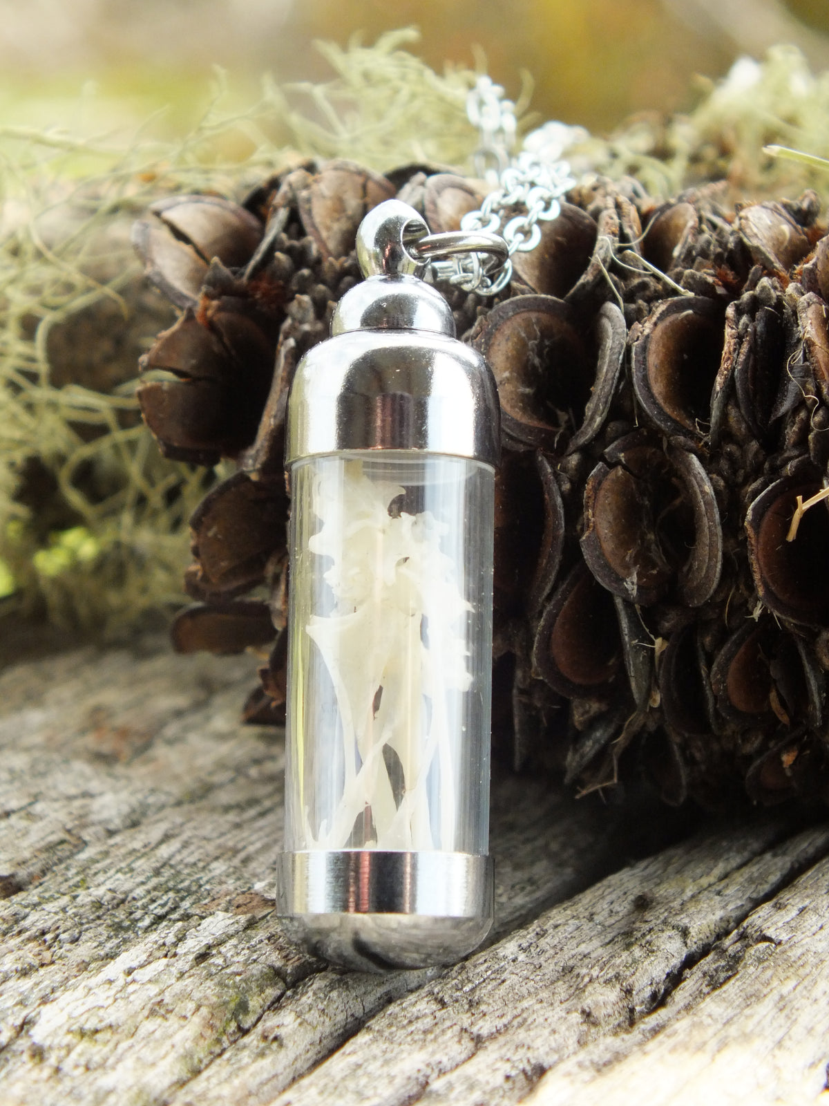 "The Bone Collector" - House Sparrow Bone Necklace