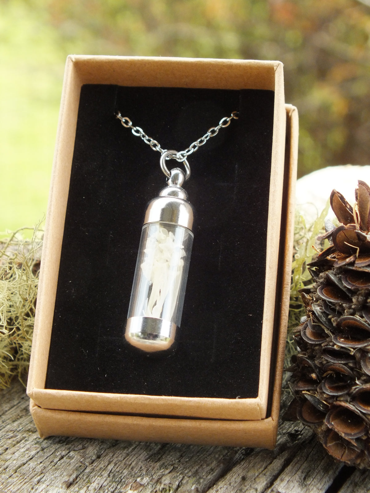 "The Bone Collector" - House Sparrow Bone Necklace