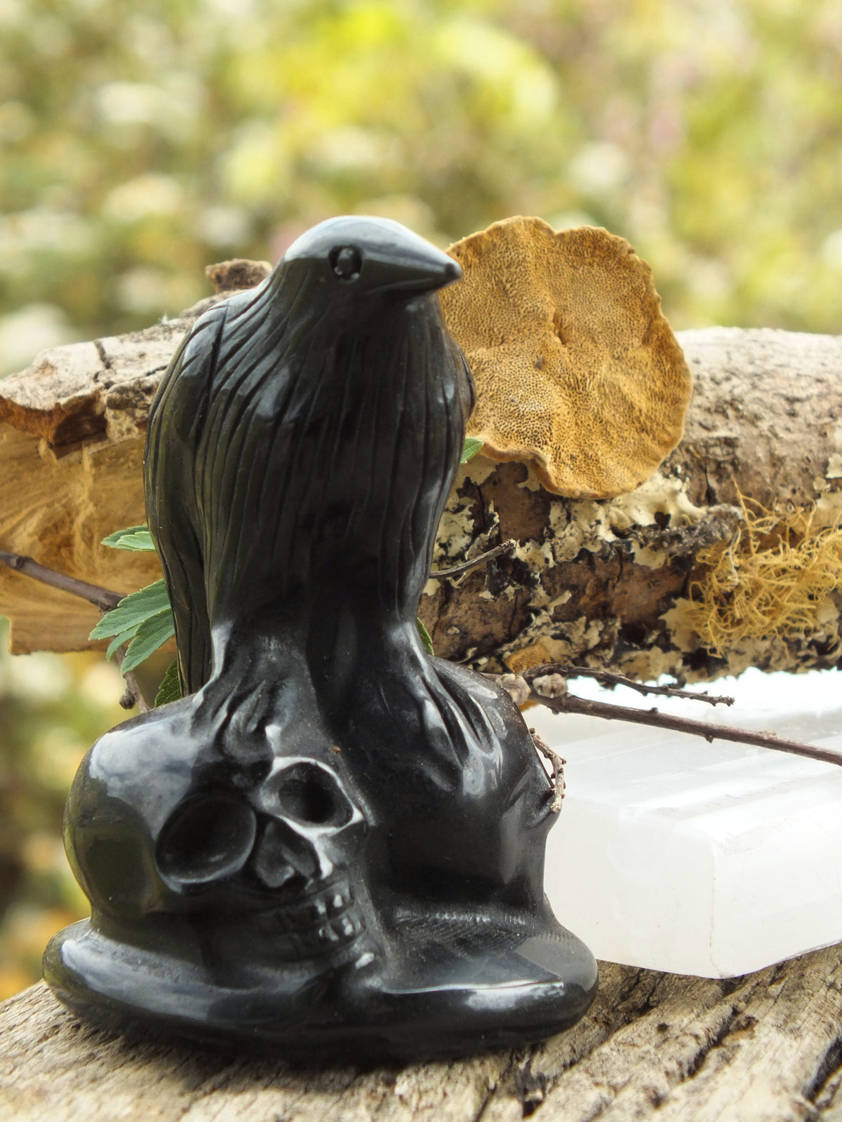 Raven On Skulls Obsidian Carving