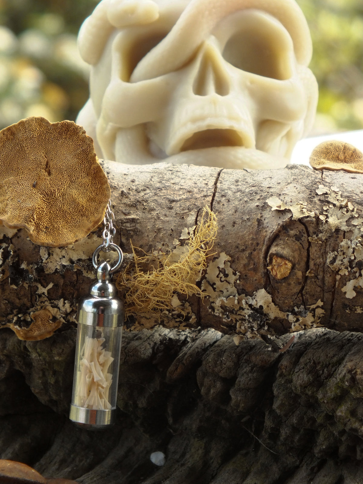 "The Bone Collector" - Cane Toad Bone Necklace