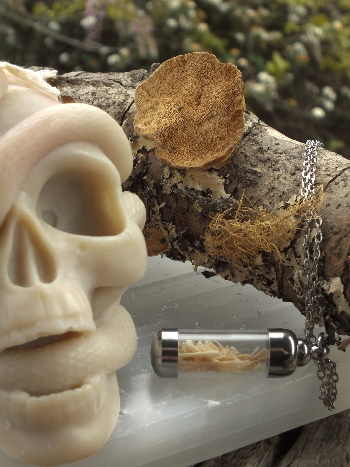 "The Bone Collector" - Cane Toad Bone Necklace