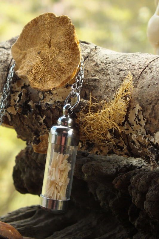 "The Bone Collector" - Cane Toad Bone Necklace