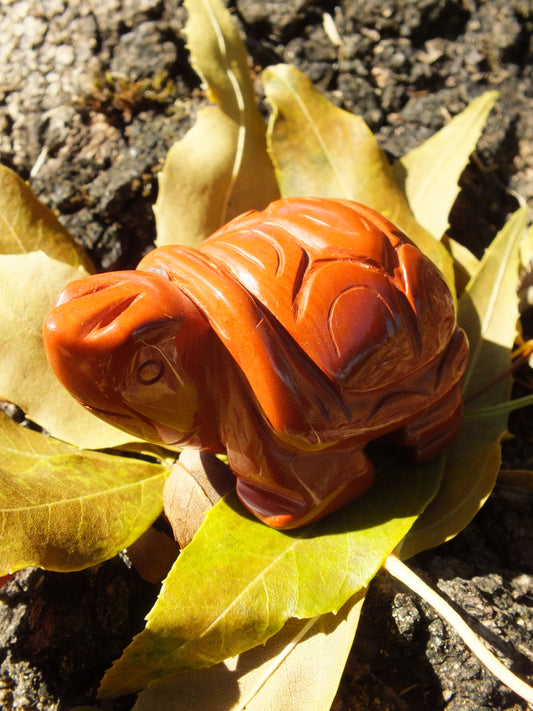 Red Jasper Tortoise