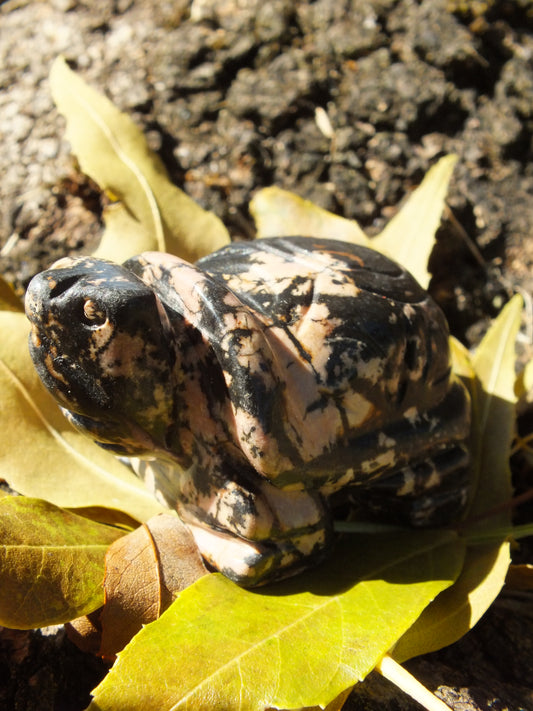 Rhodonite Tortoise