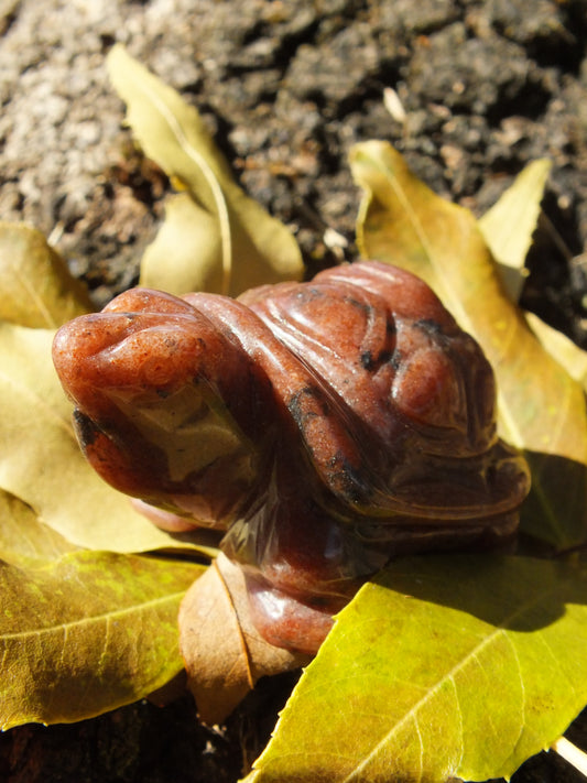 Strawberry Quartz Tortoise