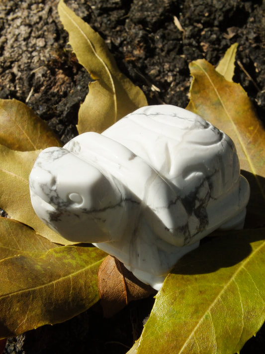 Howlite Tortoise