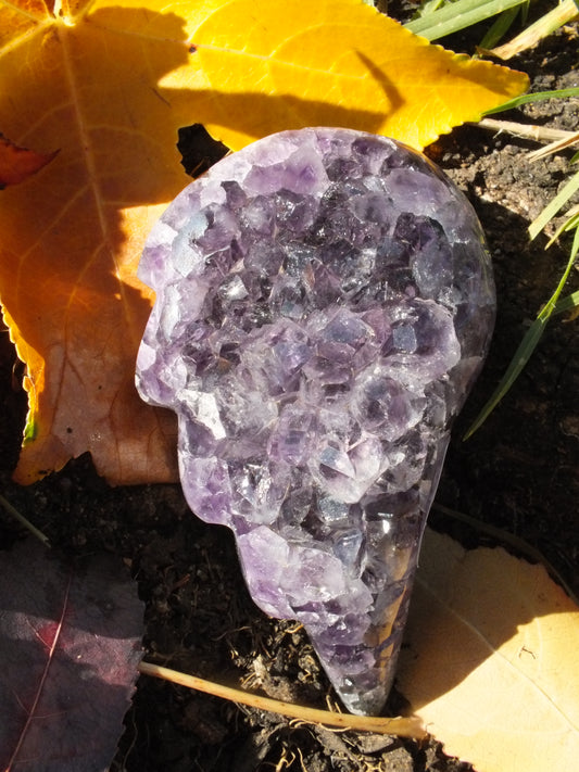 Amethyst Angel Wing