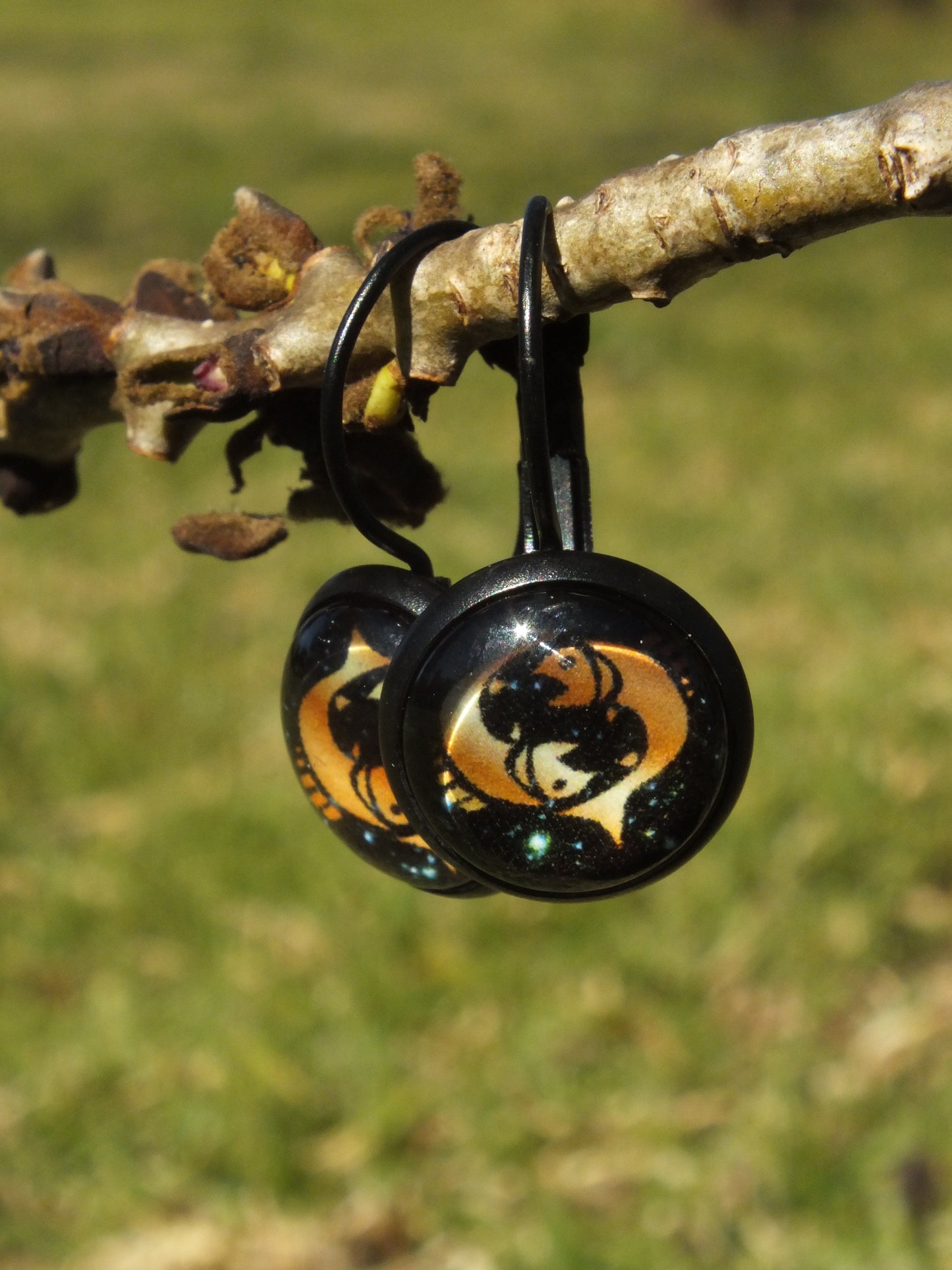 Pisces Black Cabochon Earrings