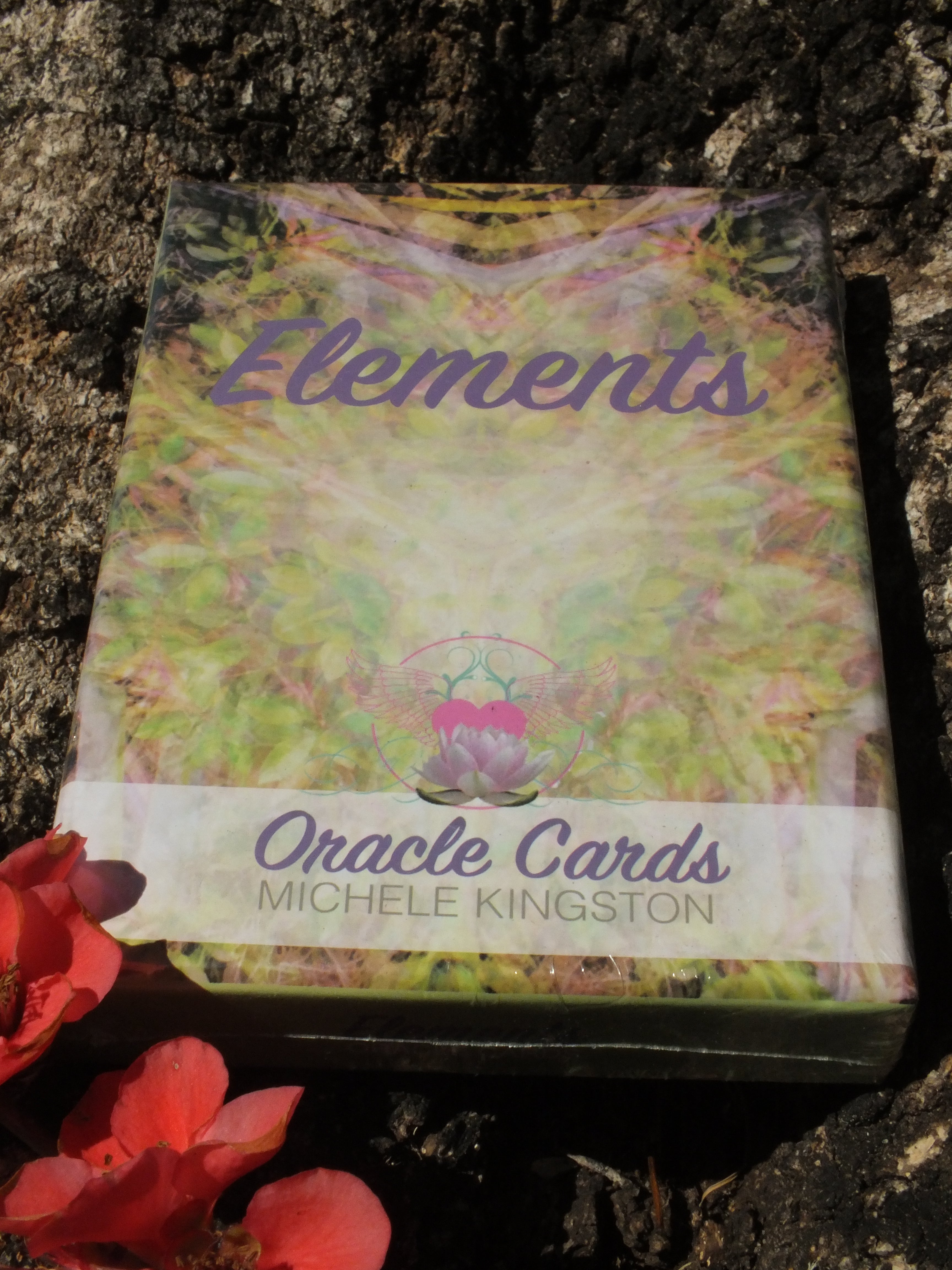 Elements Oracle Cards – Onyx Castle