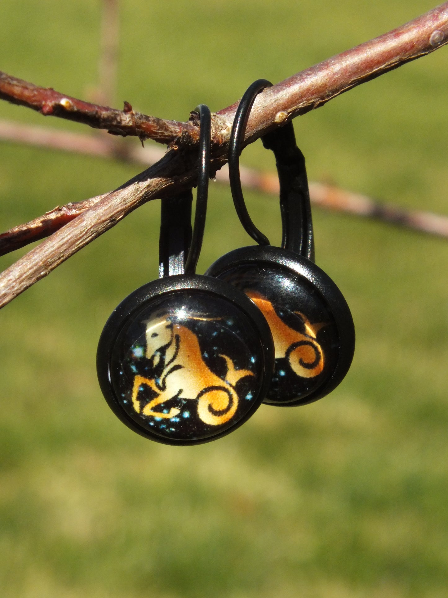 Capricorn Black Cabochon Earrings