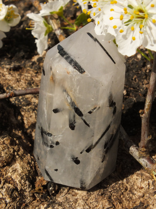 Tourmalinated Quartz Point