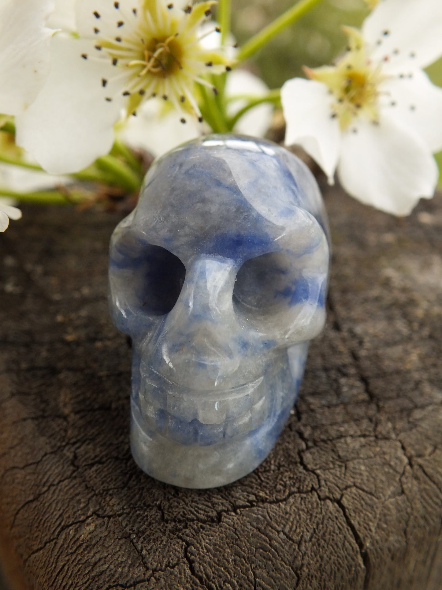 Sodalite Crystal Skull