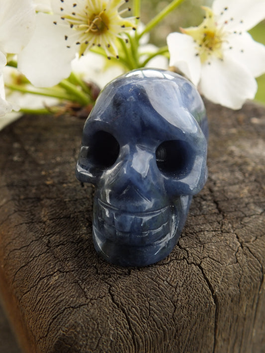 Sodalite Crystal Skull