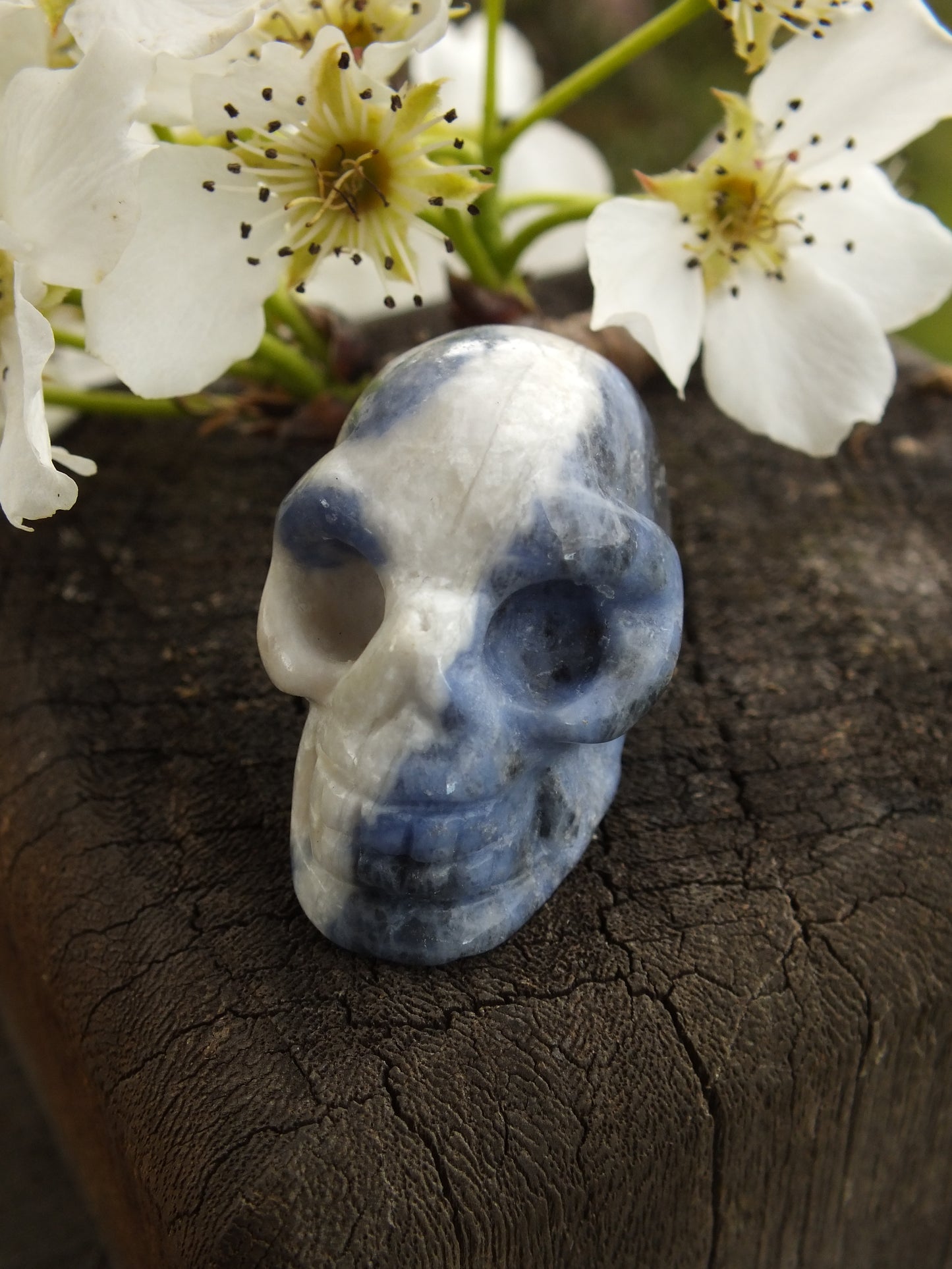 Sodalite Crystal Skull