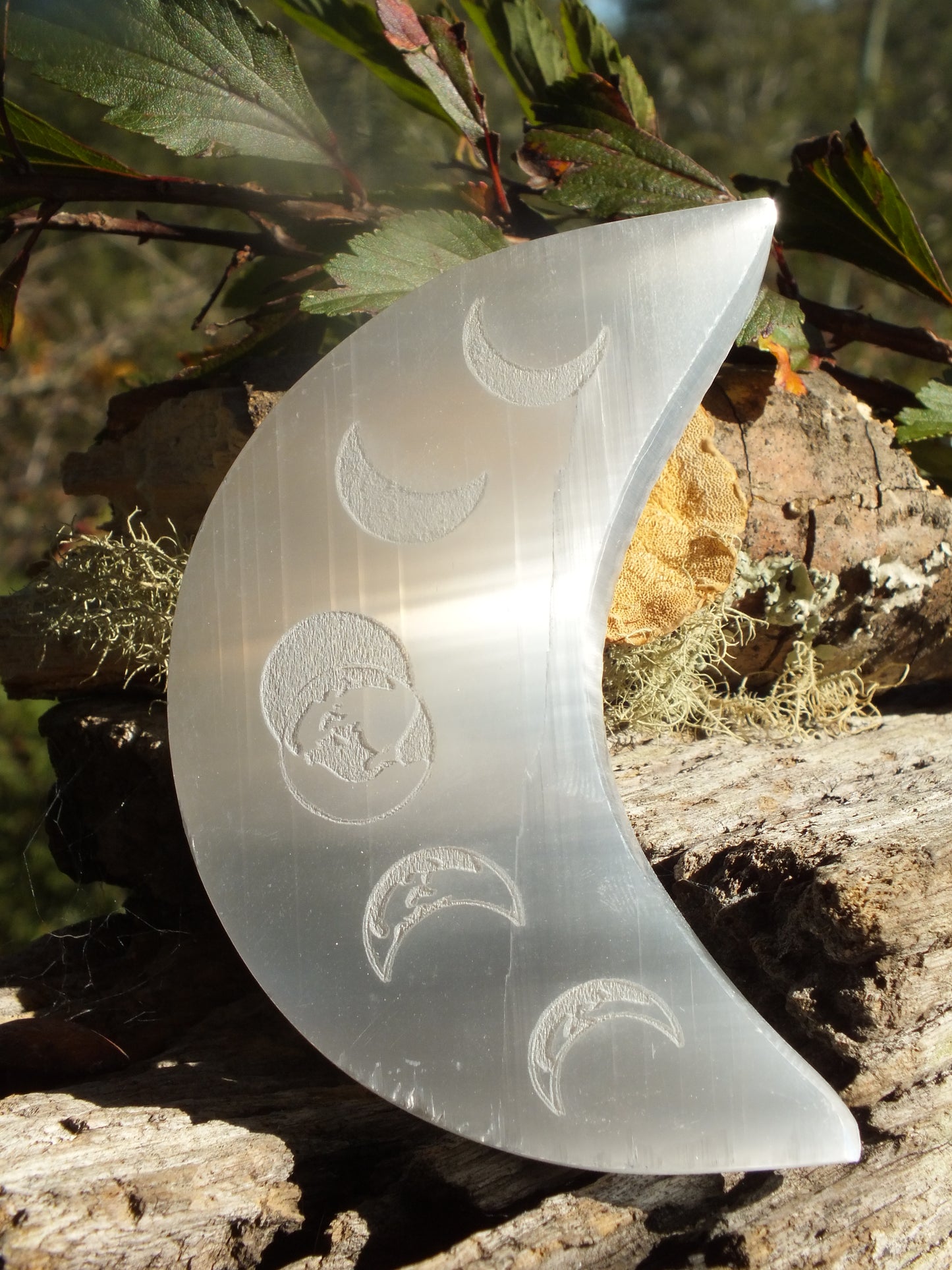 Selenite Moon Phase Charging Plate