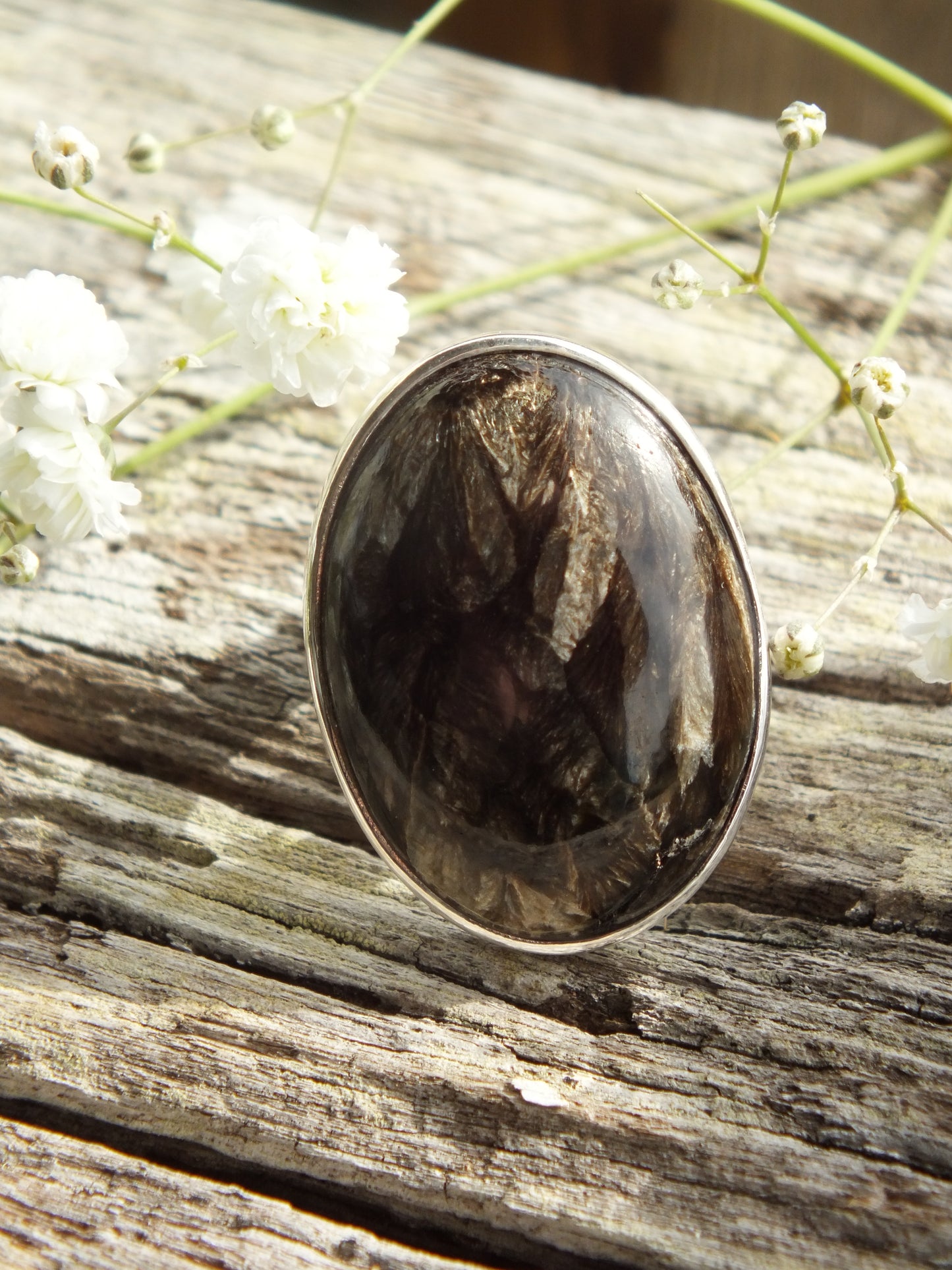 Sterling Silver & Astrophyllite Ring