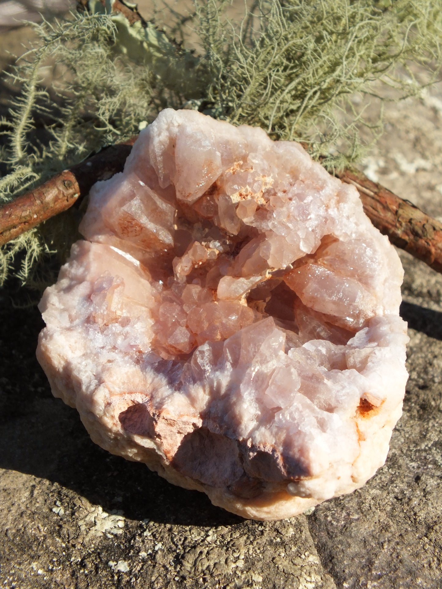 Pink Amethyst Geode