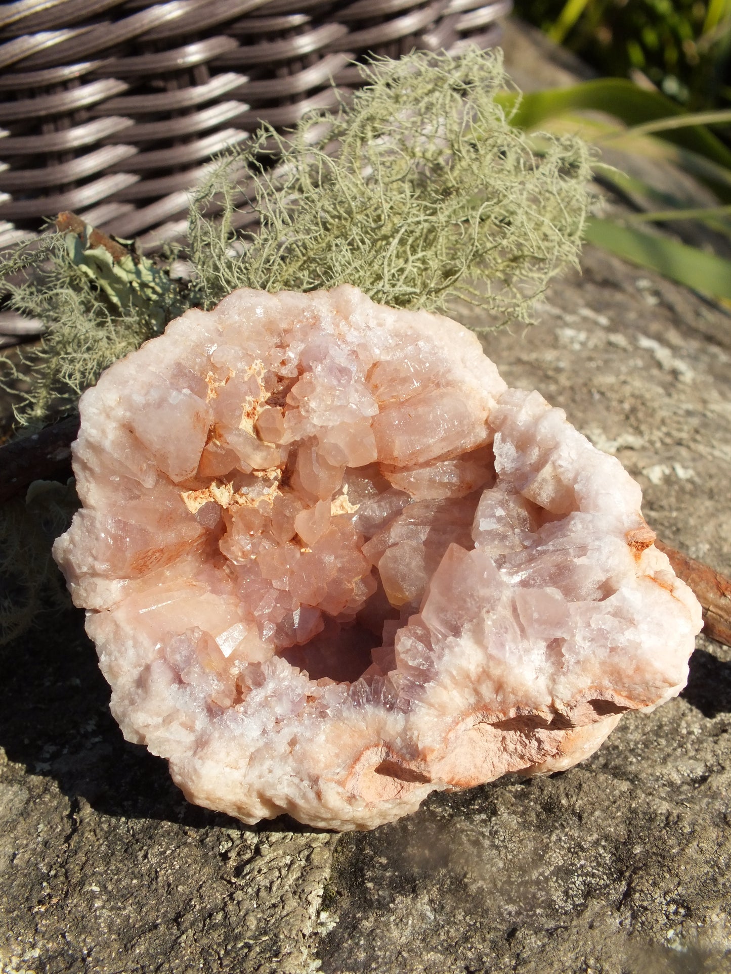 Pink Amethyst Geode