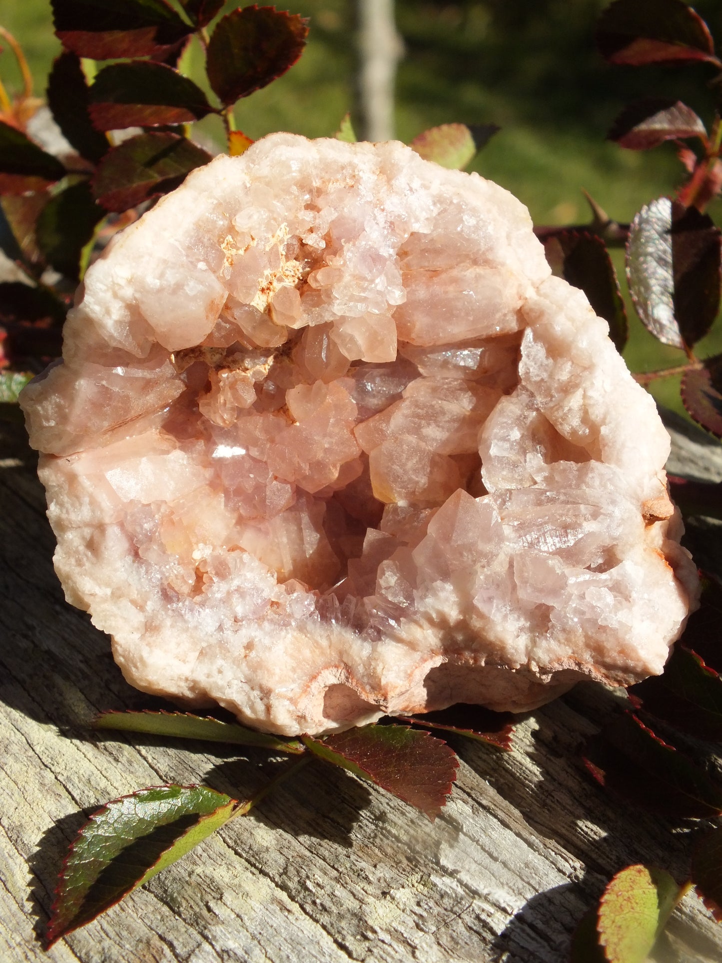 Pink Amethyst Geode