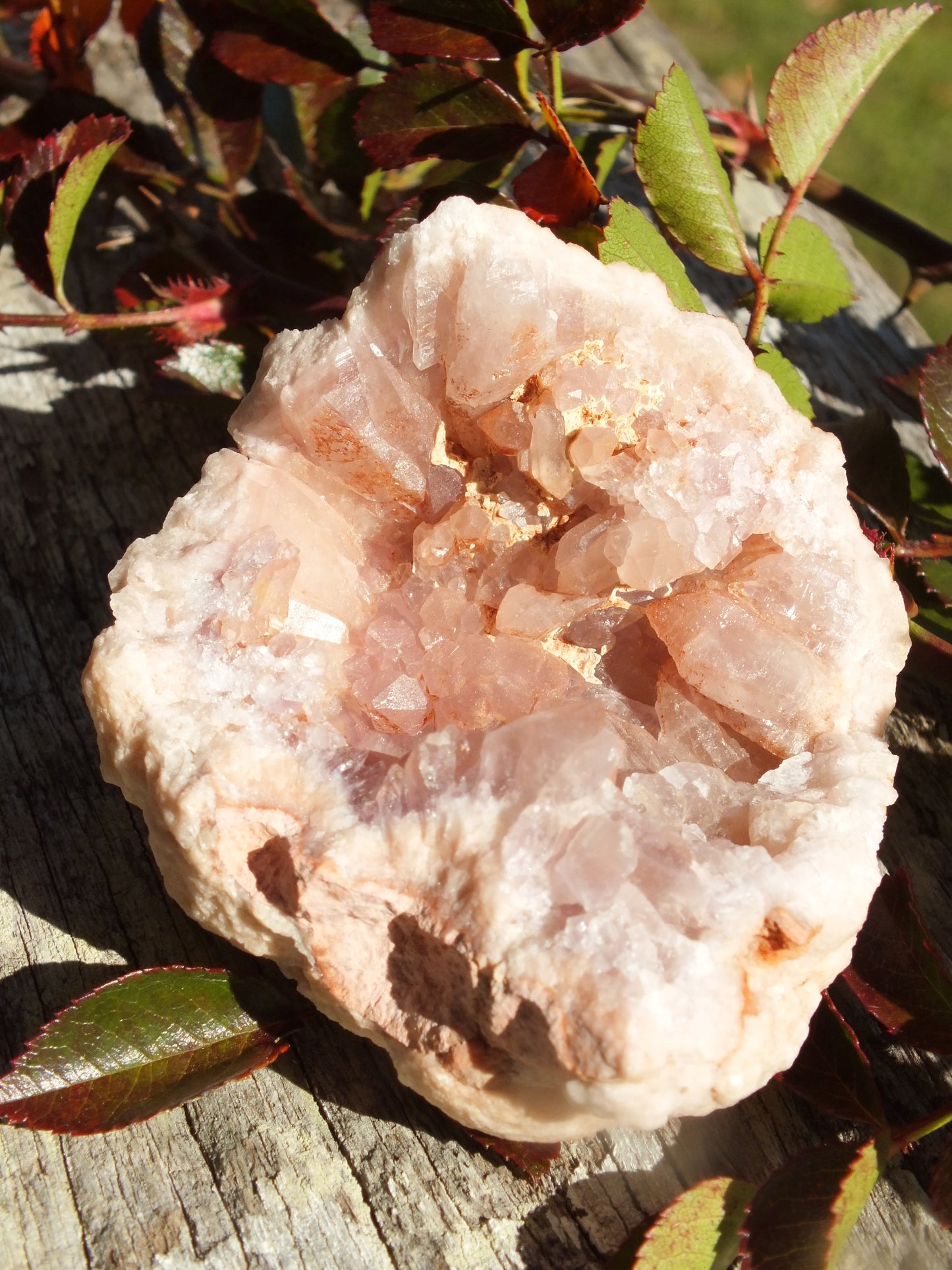 Pink Amethyst Geode