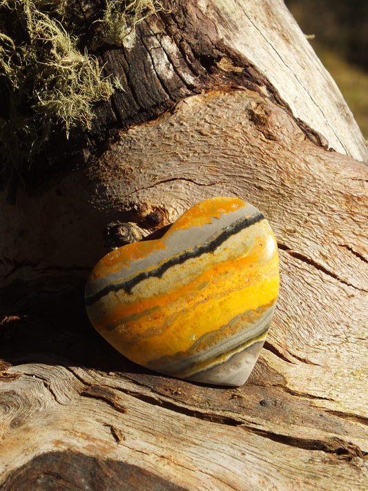 Bumblebee Jasper Heart