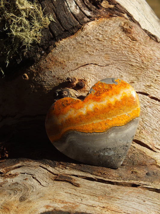 Bumblebee Jasper Heart