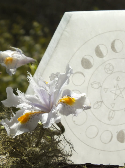 Selenite Moon Phase Hexagon Charging Plate