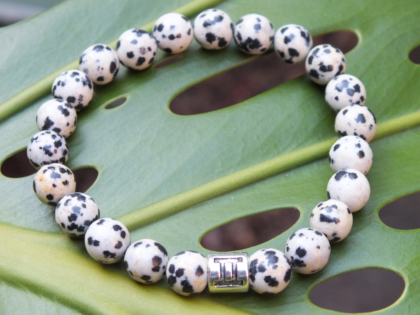 Dalmatian Jasper Gemini Bracelet