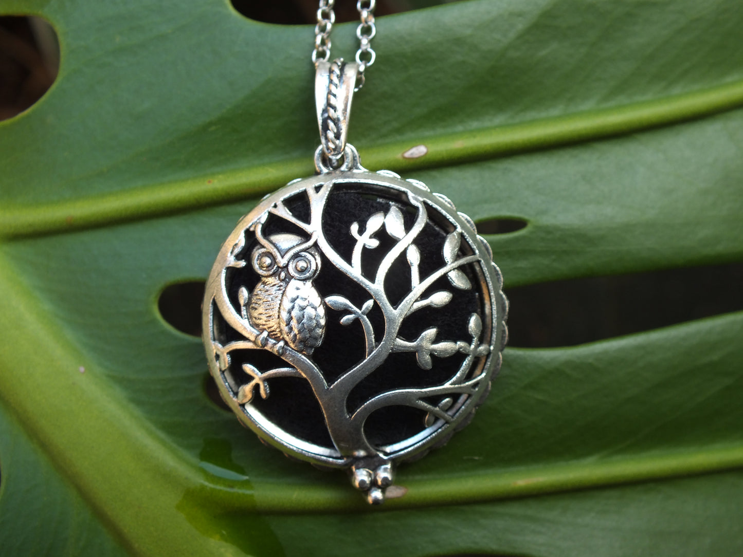 Black Owl Diffuser Locket