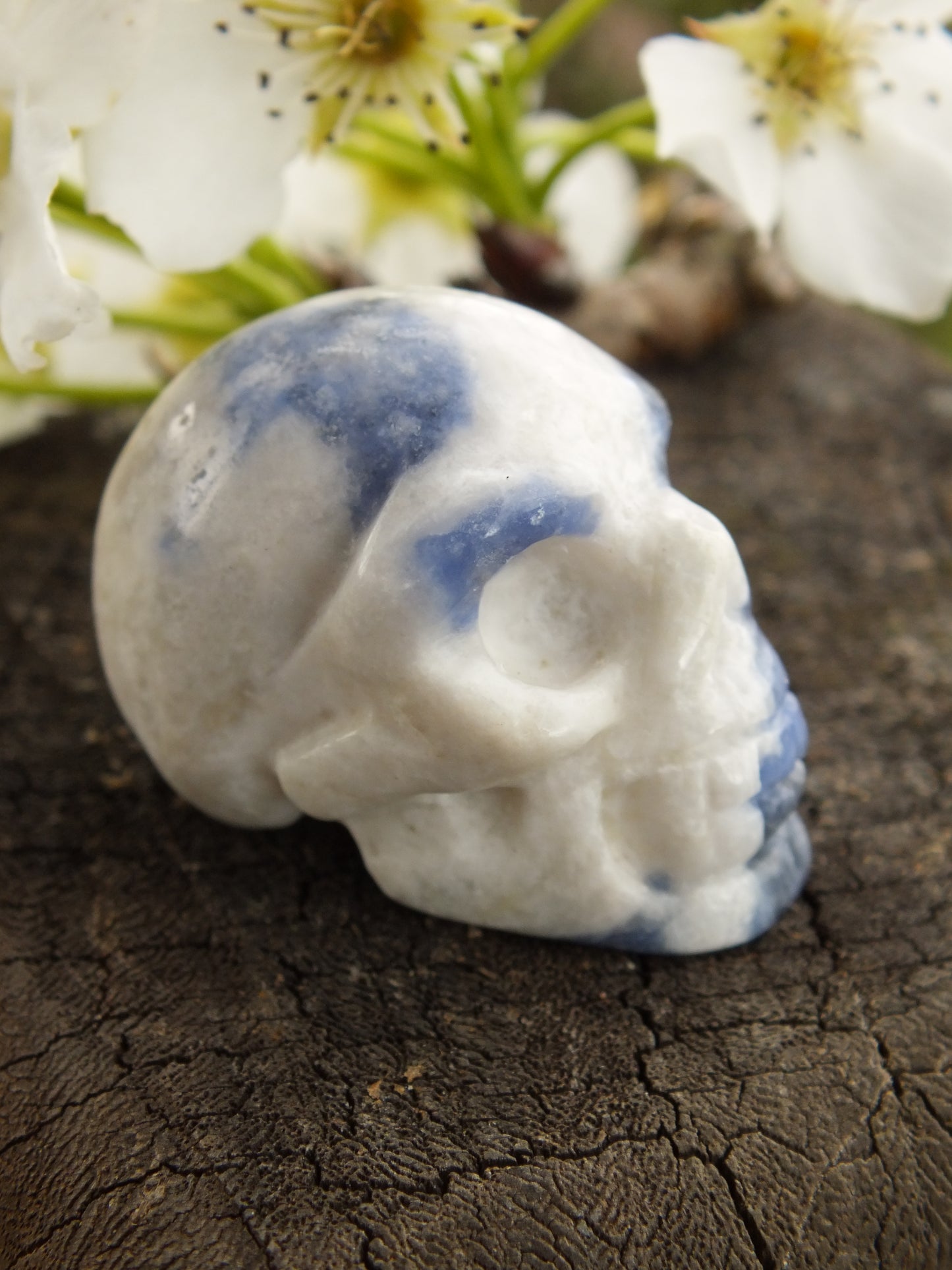 Sodalite Crystal Skull