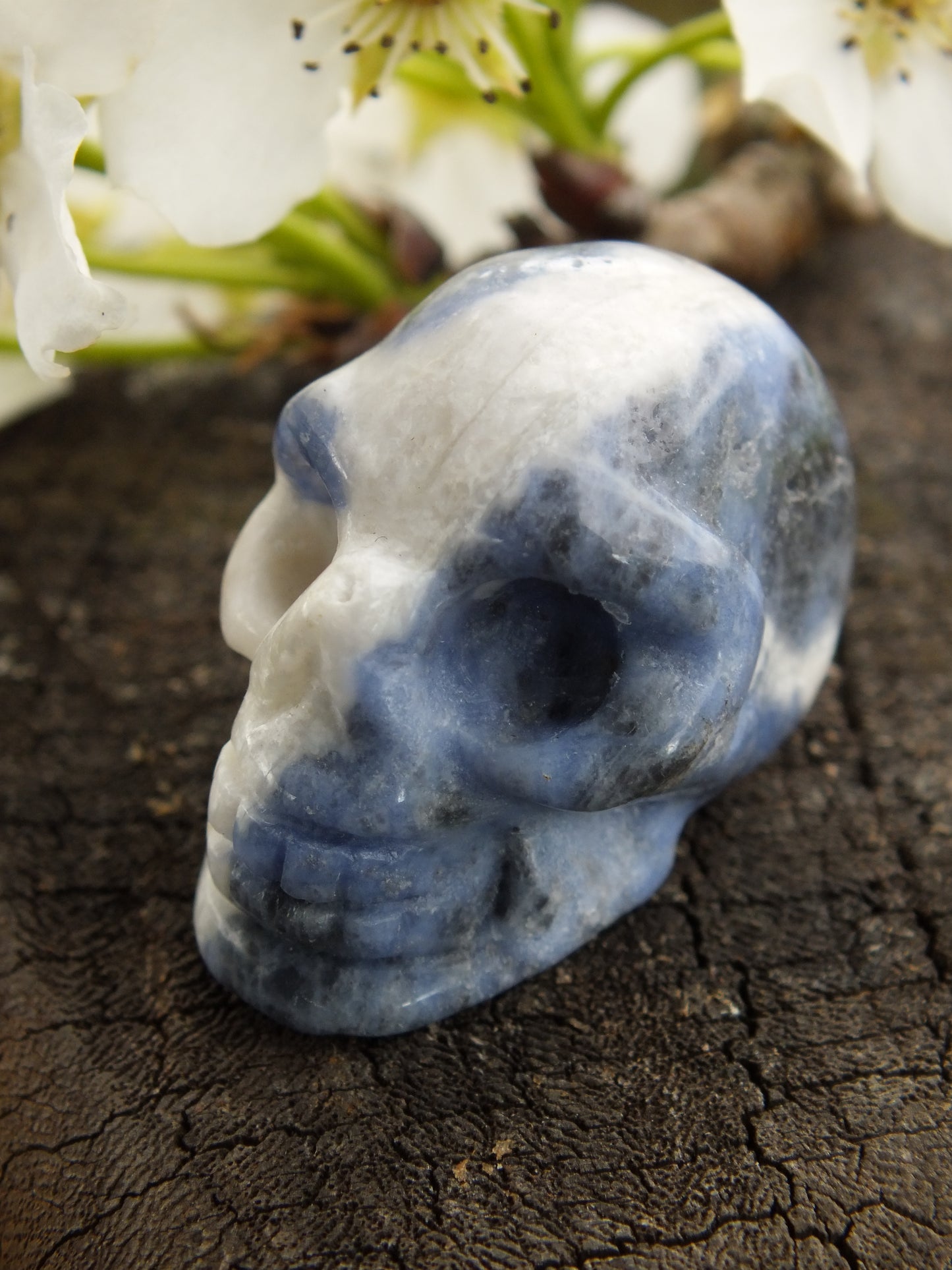 Sodalite Crystal Skull